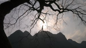 以前のと勝手が違う、、、