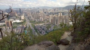 おそらく仲間だと思う(￣へ ￣ 凸