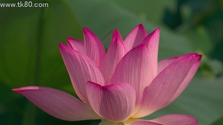 急遽午後はお休み！(￣Д￣；；