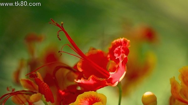 ホワ～とした感じ＼（⌒∇⌒）／