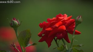 台風4号が熱低になって、、、