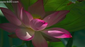 影を意識した＼（⌒∇⌒）／