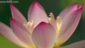 訳あって・・・(￣Д￣；；