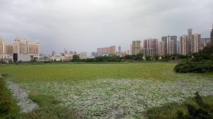 今日も朝から・・・・(￣▽￣;)!!ｶﾞｰﾝ