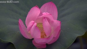 解ったつもり～(_ _。)･･･ｼｭﾝ