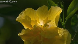 人間の眼ってスゴイ！！