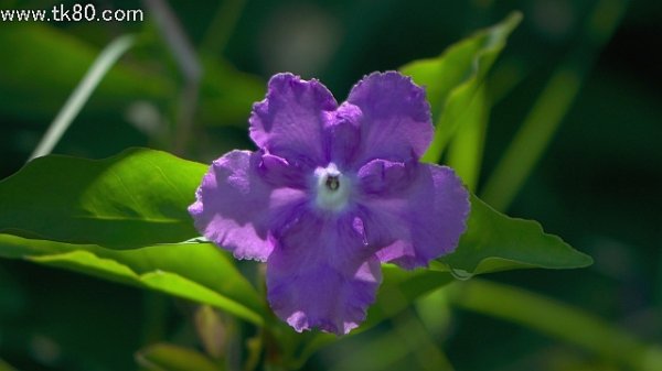 長安ひさびさ、、、＼(＾▽＾)／