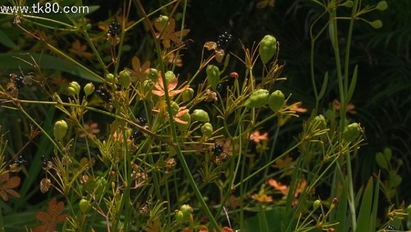 バーチャル空間＼(＾▽＾)／