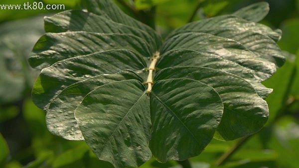 AI＋双撮カメラ(〃⌒ー⌒)/