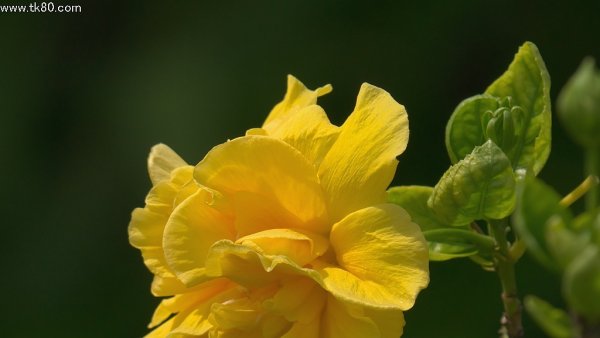 マカオへ行ったケド(_ _。)･･･ｼｭﾝ