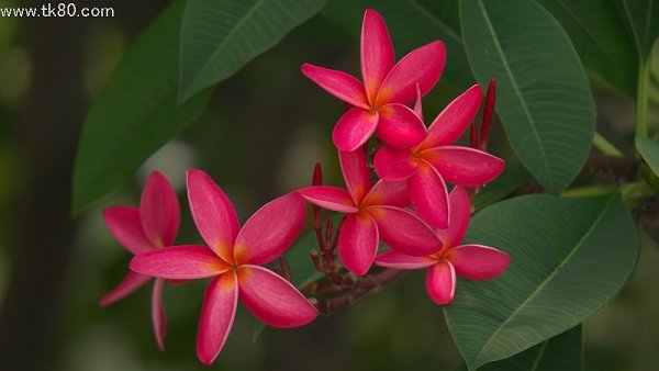 もう秋！？(_ _。)･･･ｼｭﾝ