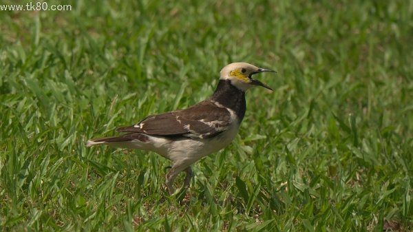 ハァ～ハァ～(;´ρ`) ｸﾞｯﾀﾘ