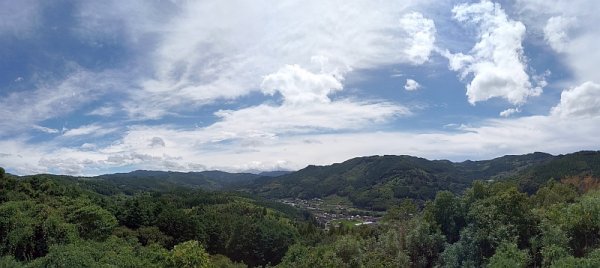 じゃ何で日本に居たくないの～？？