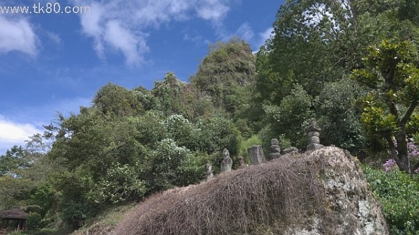 南海の孤島で生活したい(〃⌒ー⌒)/