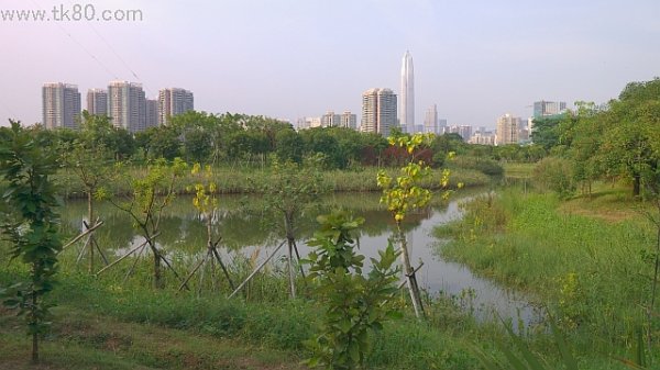 そこに有るジャン！(=^▽^)σ