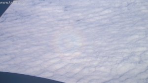 注意して見れば、、、、(=^▽^)σ