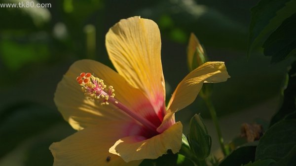 出来る所までヤル！(・∀・)イイ!!