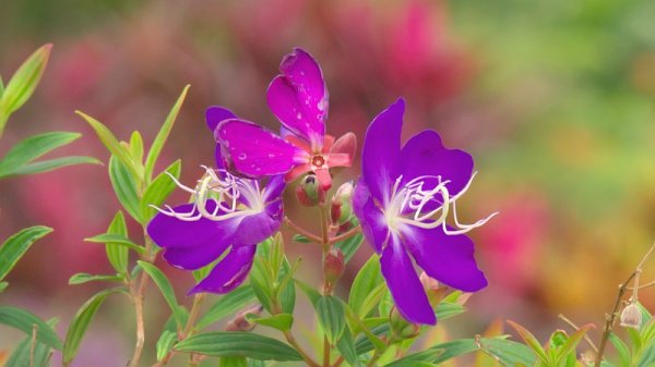 立ったままで採血！？(-_-;ｳｰﾝ