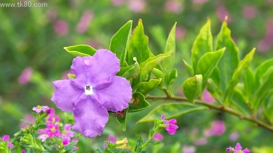 医師の指導ですから(-_-;ｳｰﾝ