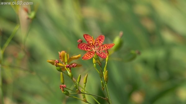 なるべく至近距離から(＾▽＾)/