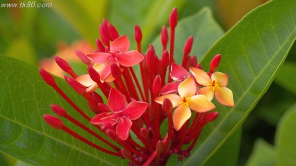 ハイライト気味に＼（⌒∇⌒）／