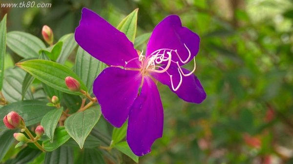 ちょと変だぁ～σ(￣、￣=)ﾝｰﾄ･･･