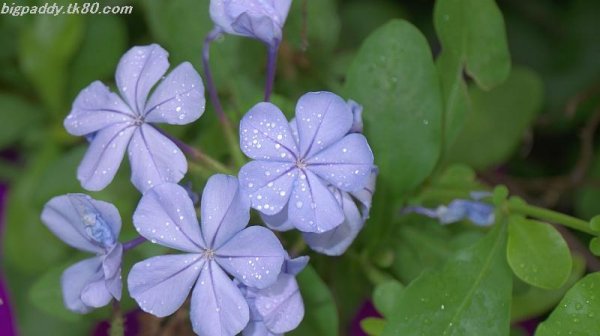1回目の年越は宝安で、、、(^O^)