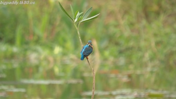 初歩き～～(=^▽^)σ