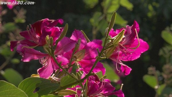 既に売り切れ、、、