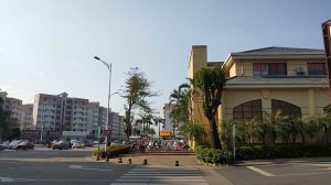 住んでいる近くを歩いた、