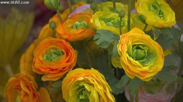 新年会だぁ～！！