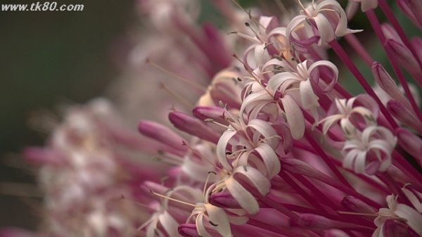 暑かろうが寒かろうが、、、