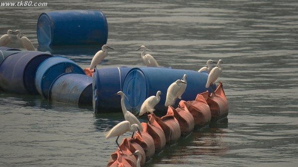 完全に進んでいる！