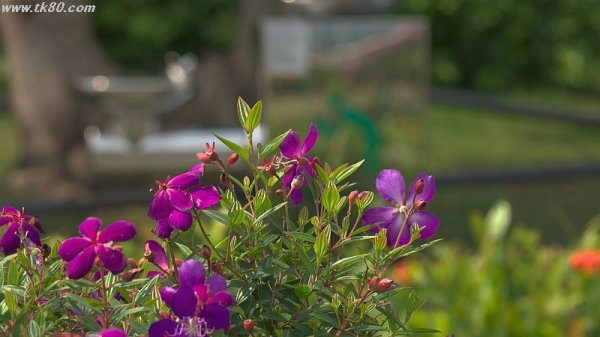 シッカリ接待。