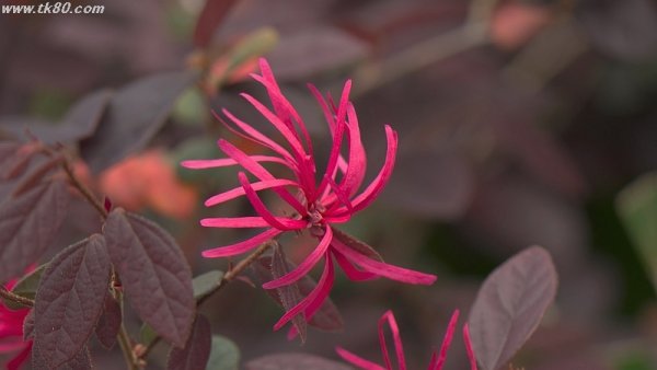 イメチェン(^-^)