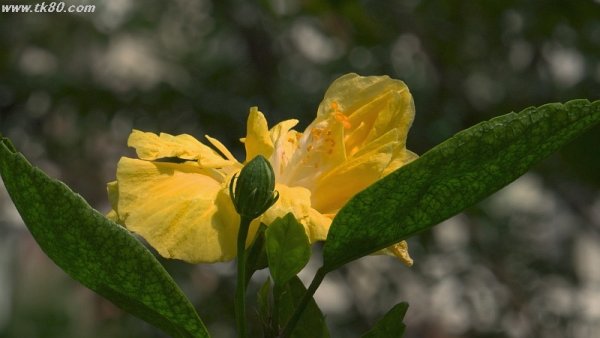 可也あせったf(^_^；)