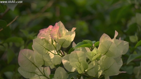 いまさら聞けないEXCEL f(^_^；)