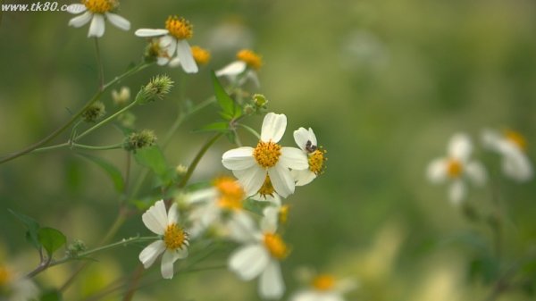 拒否リストに加える( #｀Д´)
