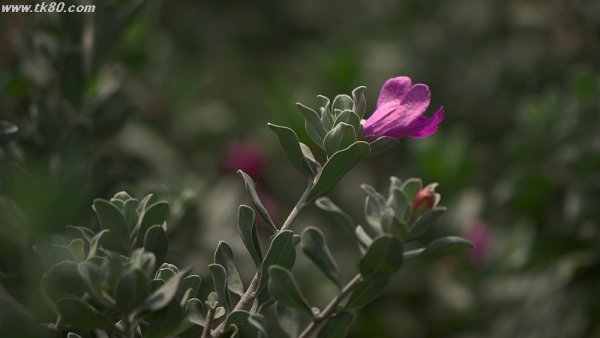 突然の出来事f(^_^；)