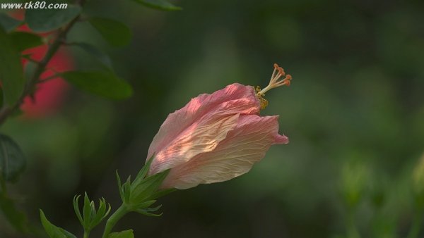 週末雨～～(´；ω；｀)