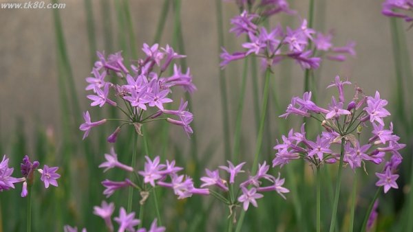 今もバブルの最中～(^○^)
