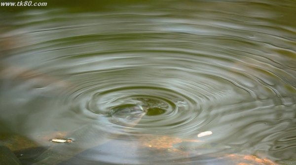 プカプカの波～(^○^)