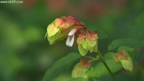 久々の地下鉄1号線(^○^)