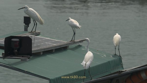 九州港～福永港フェリーが開通！