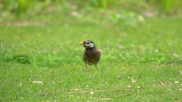 この五一連休、ハァ～～