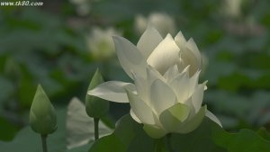 これからが旬！！