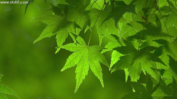 未明の大雨と雨漏り f(^_^；)