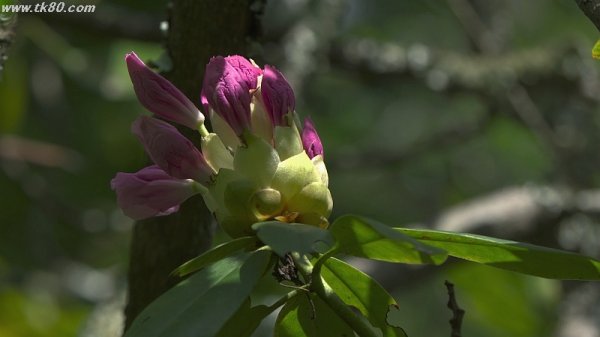 こりゃ可也マズイ！！(´；ω；｀)