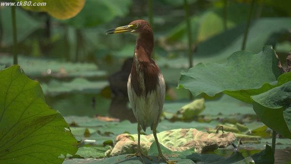 ちょっと、、、(´；ω；｀)