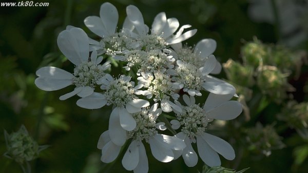 ブロックだらけ！！f(^_^；)